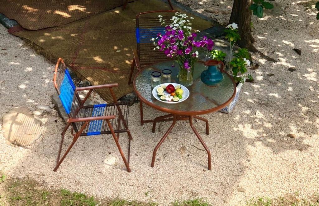 Casa "La 44" Bed and Breakfast Mérida Εξωτερικό φωτογραφία