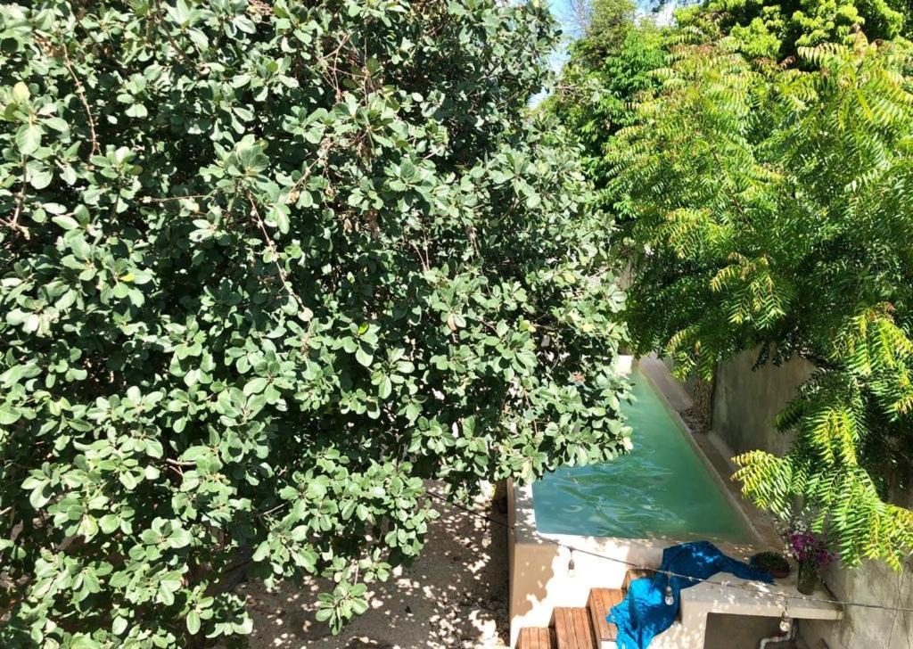 Casa "La 44" Bed and Breakfast Mérida Εξωτερικό φωτογραφία